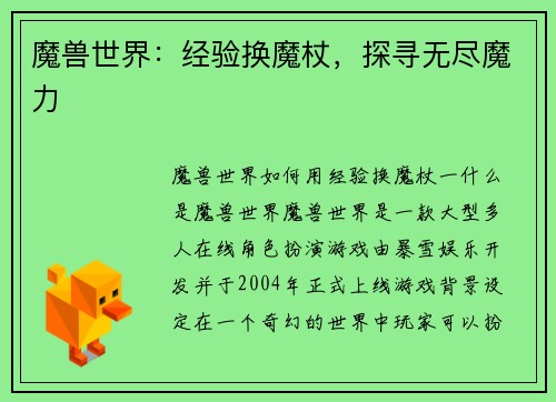 魔兽世界：经验换魔杖，探寻无尽魔力